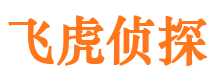 长丰私家侦探